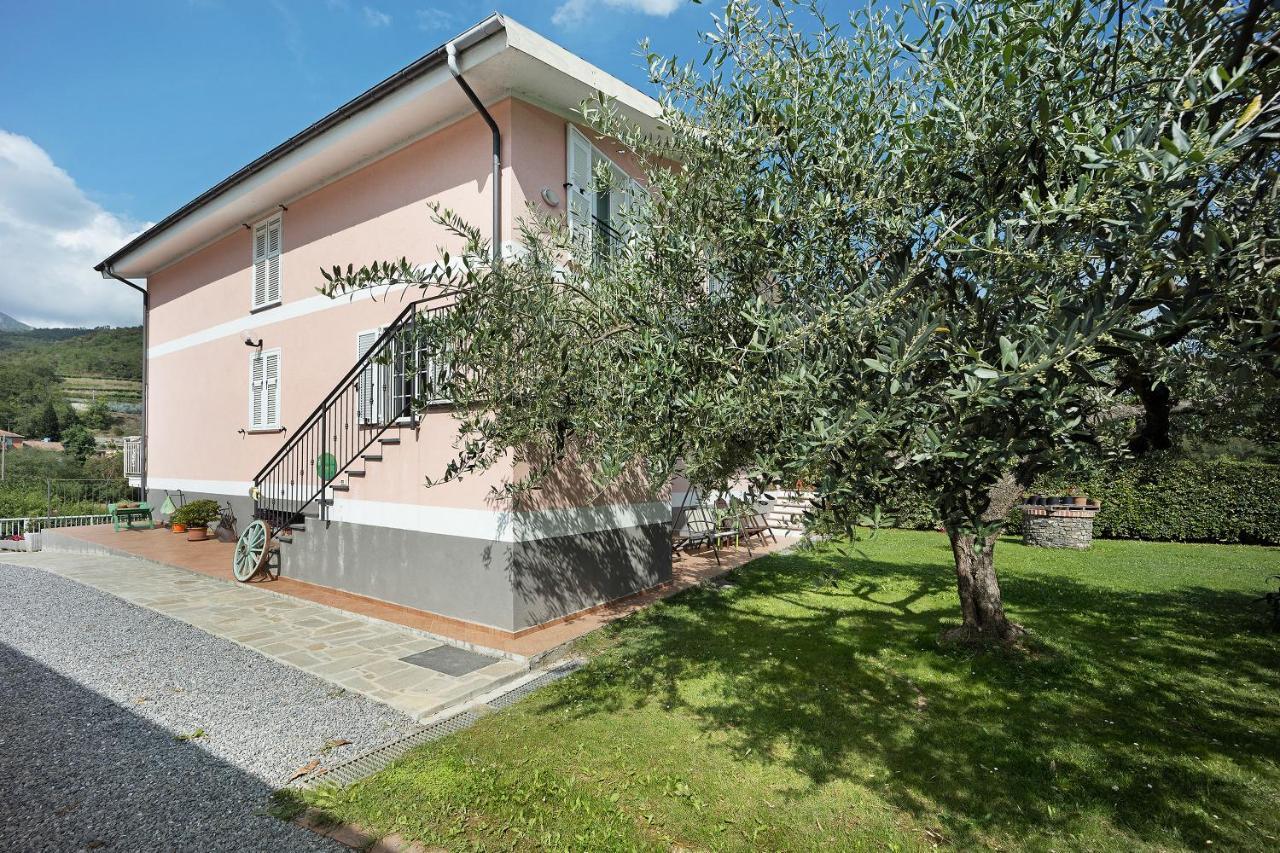 Apartamento Mansarda Albero Verde con Piscina Casanova Lerrone Exterior foto